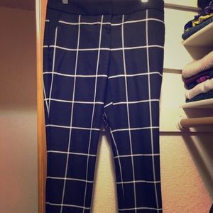 Women dress pants
